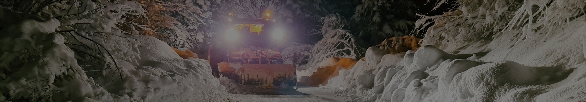 Zimska služba Zimska služba